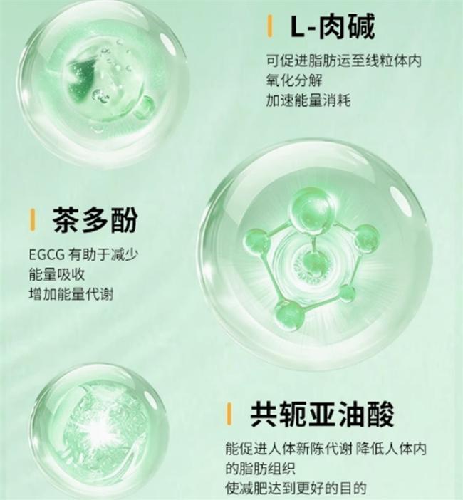 ：助力燃脂的实用品牌减肥哪个牌子好瓦力棋牌游戏轻松减肥产品T